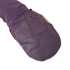 Team GORE-TEX® Mitt